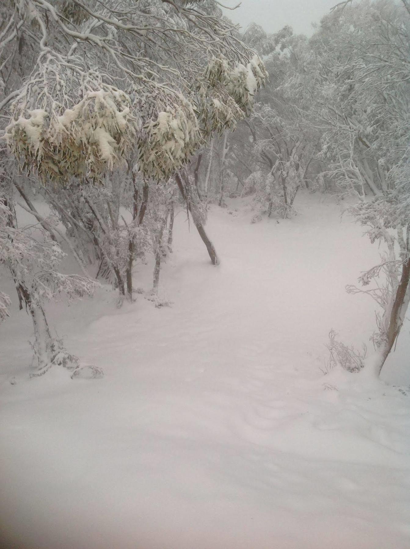 מאונט בולר Terama Ski Lodge מראה חיצוני תמונה